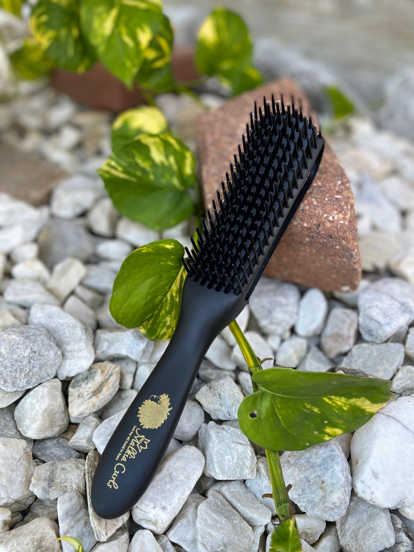 Detangle/Curling Brush