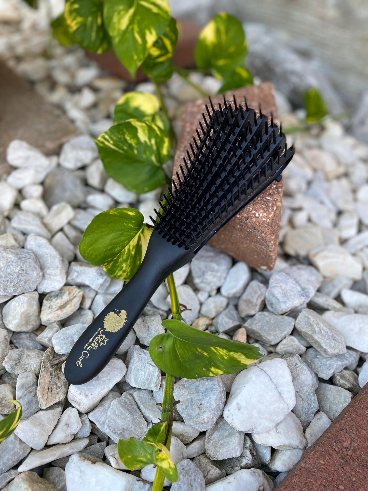 Detangle/Curling Brush