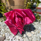 Zipper Satin Pillowcase