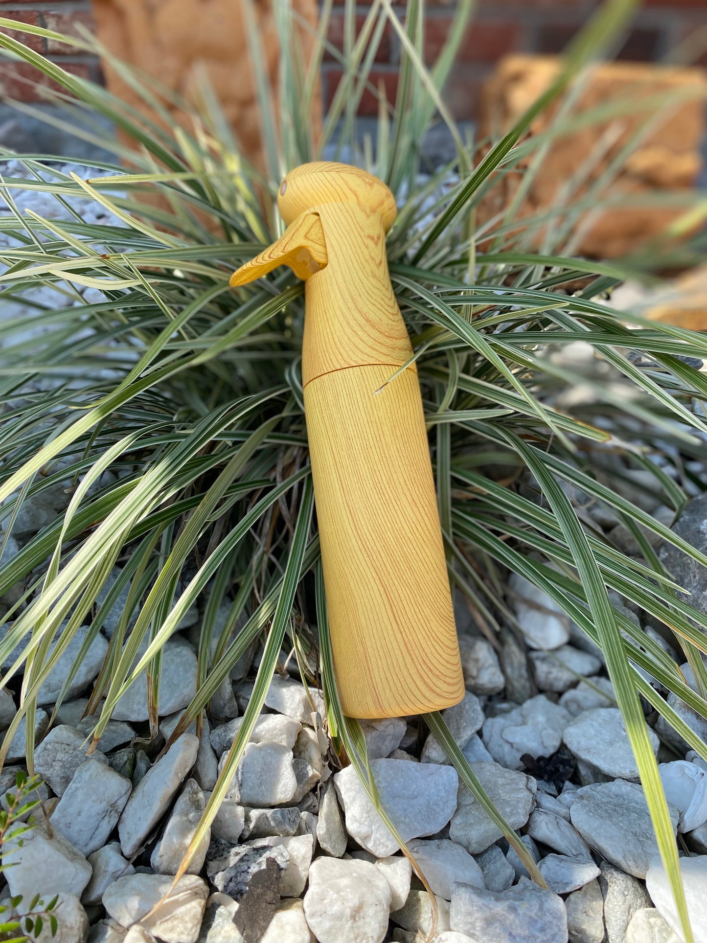 Mist Spray Bottle